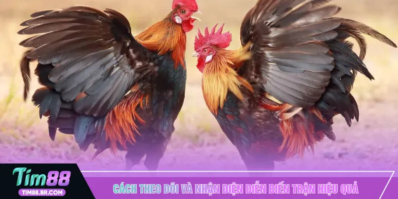 Cách theo dõi và nhận diện diễn biến trận hiệu quả