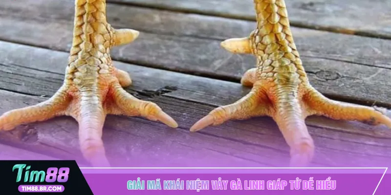 Giải mã khái niệm vảy gà linh giáp tử dễ hiểu