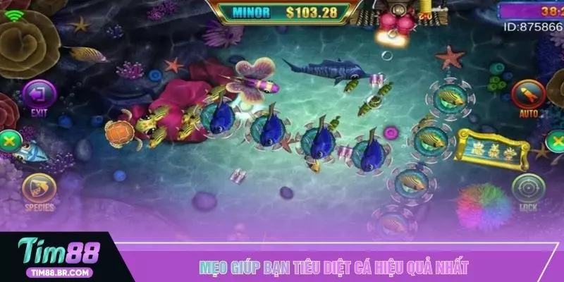 Mẹo giúp bạn tiêu diệt cá hiệu quả nhất