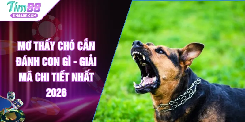 Mơ Thấy Chó Cắn Đánh Con Gì - Giải Mã Chi Tiết Nhất 2026