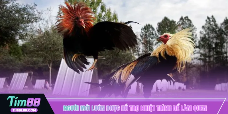 Người mới luôn được hỗ trợ nhiệt trình để làm quen