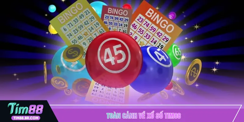 Toàn cảnh về Xổ số TIM88 