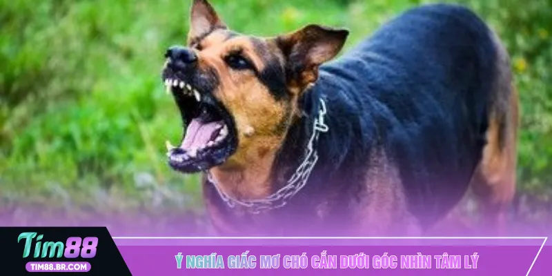 Ý nghĩa giấc mơ chó cắn dưới góc nhìn tâm lý