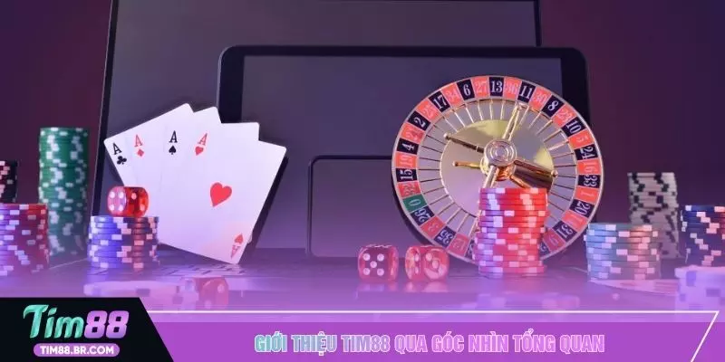 Giới thiệu TIM88 qua góc nhìn tổng quan