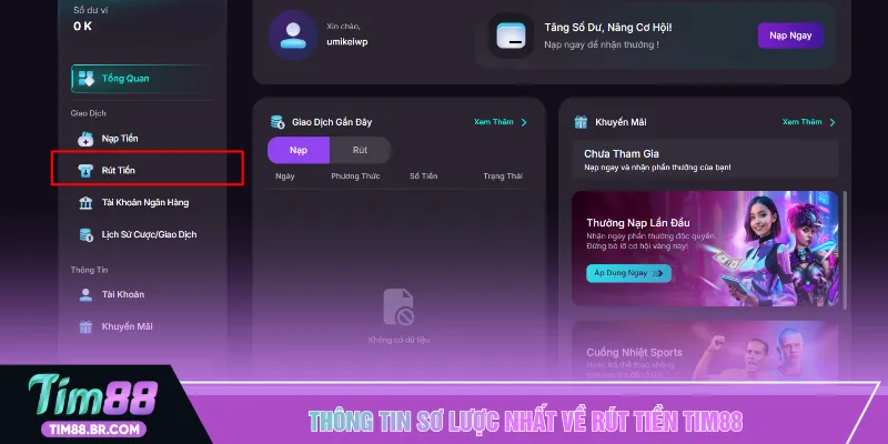 Thông tin sơ lược nhất về rút tiền TIM88