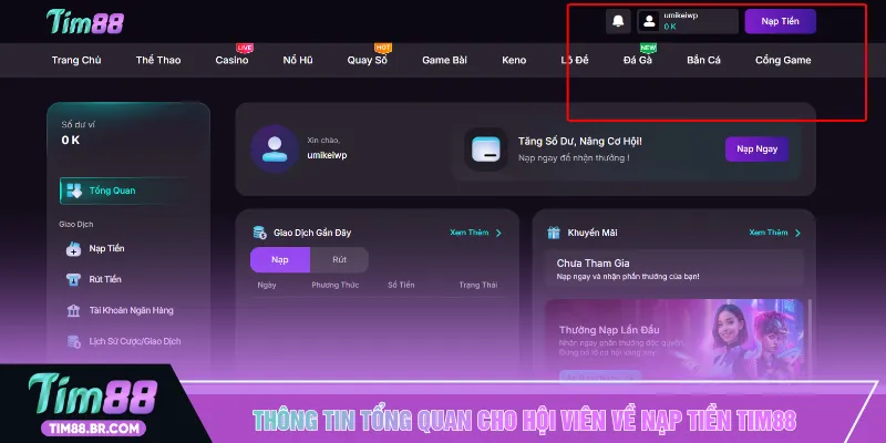Thông tin tổng quan cho hội viên về nạp tiền TIM88