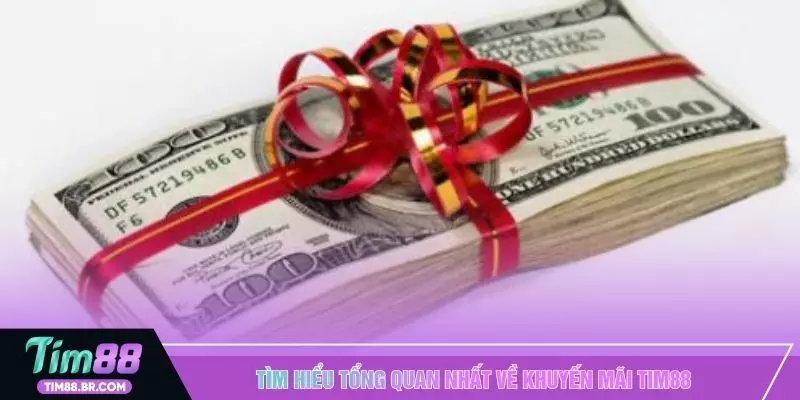 Tìm hiểu tổng quan nhất về khuyến mãi TIM88