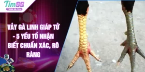 Vảy Gà Linh Giáp Tử - 5 Yếu Tố Nhận Biết Chuẩn Xác, Rõ Ràng